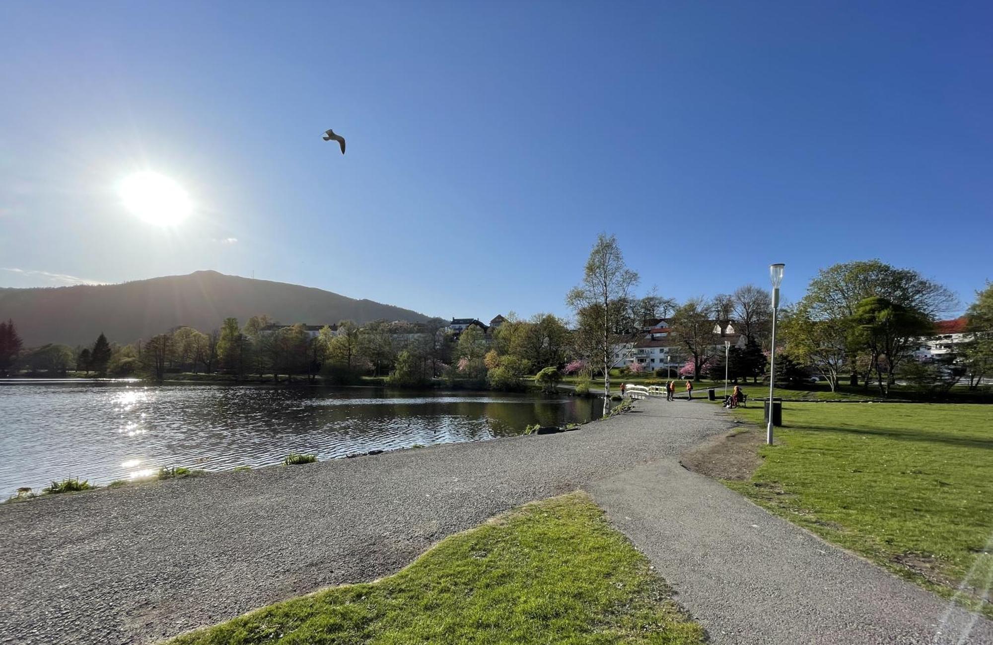 3 Sleeping Rooms For 82M2 Which Direct Traffic To Airport And City Center Bergen Extérieur photo